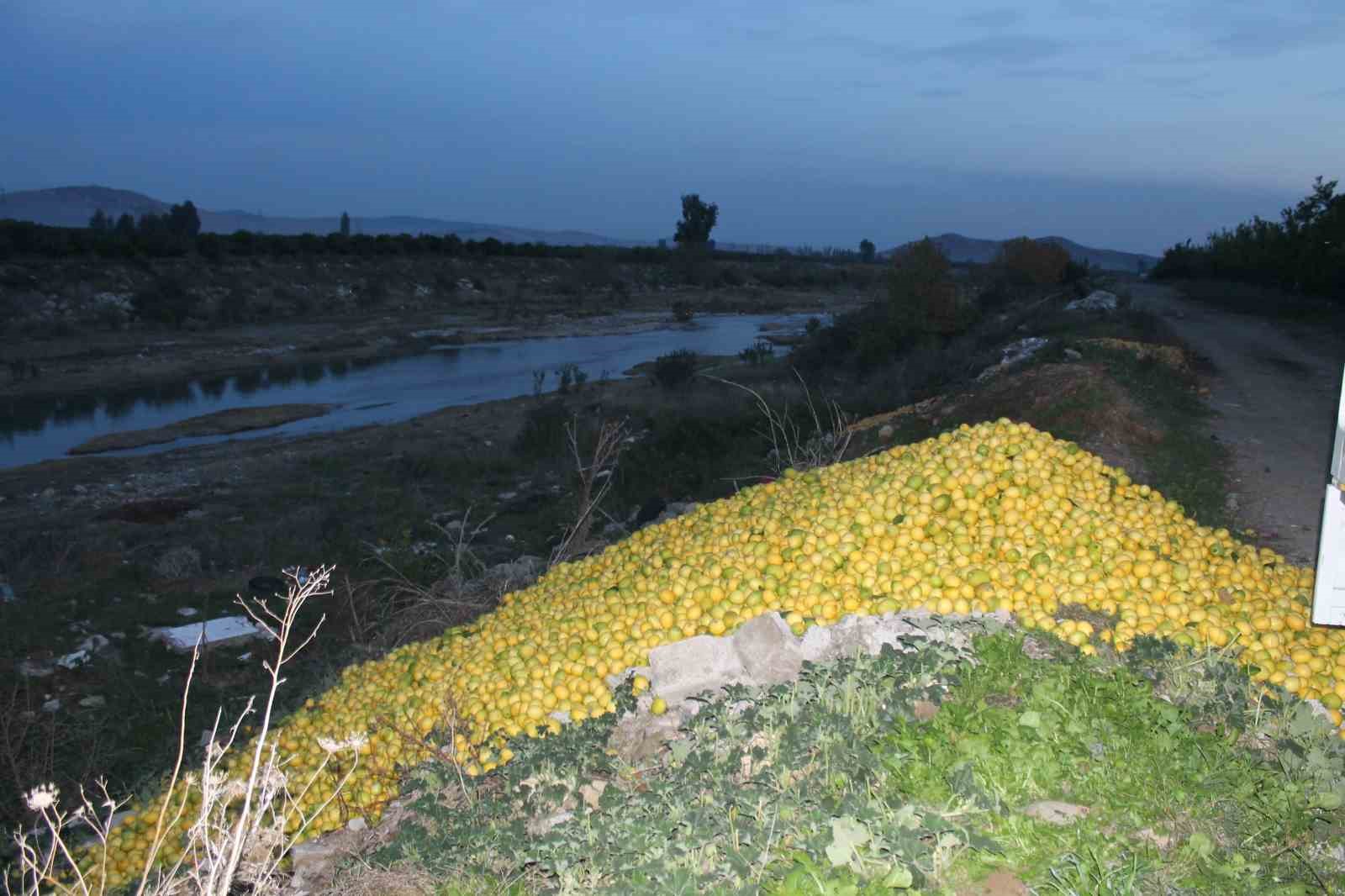 Adana'da tonlarca limon dere yatağına döküldü