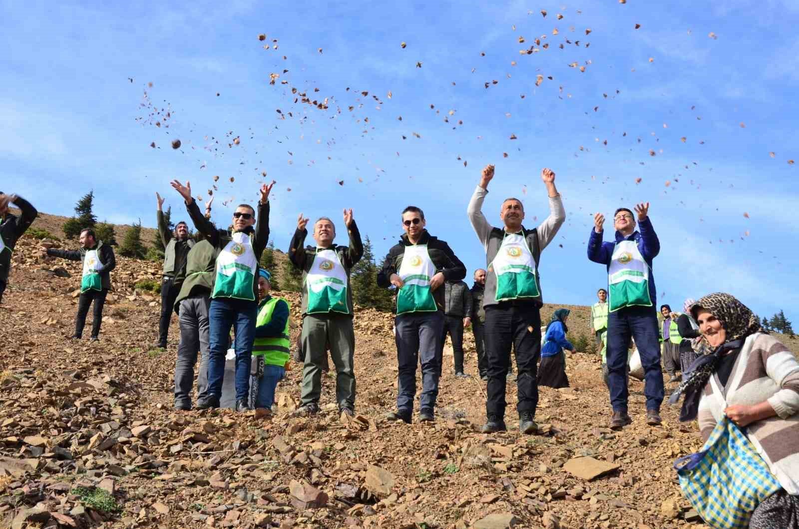 Feke’de 200 hektar alan sedir tohumu ile buluştu