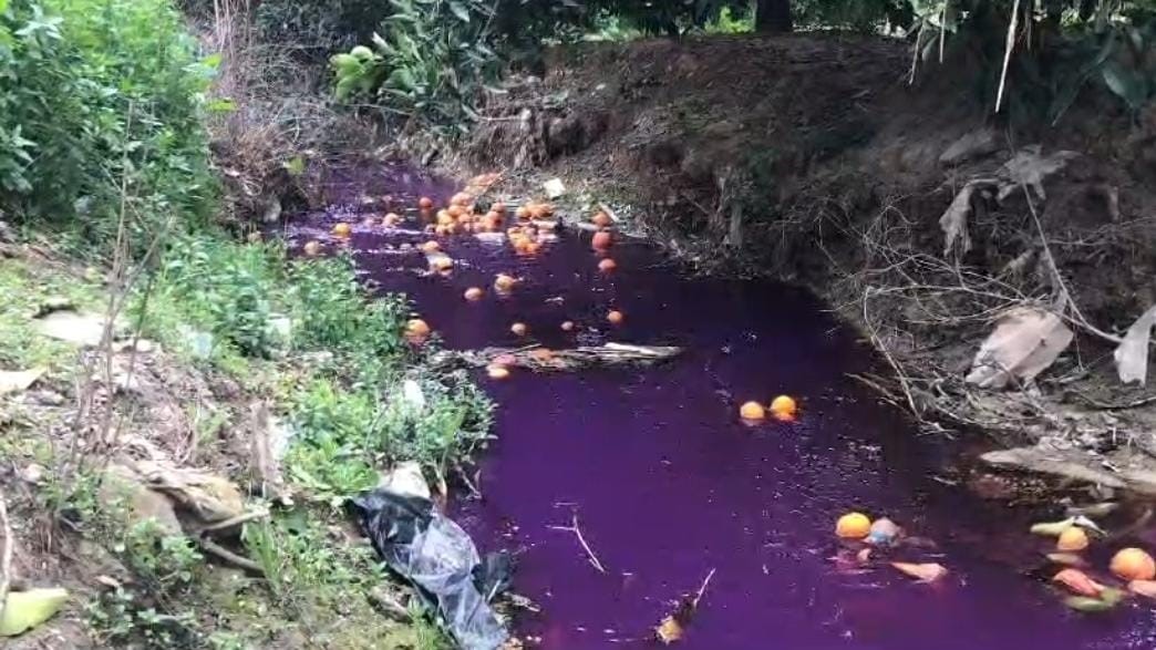 Adana’da dereyi kirleten fabrikaya para cezası uygulandı