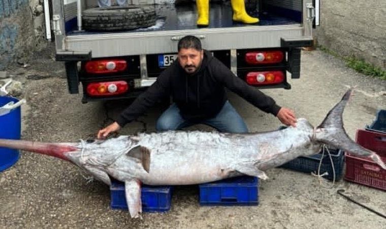Adana'da balıkçılar 150 kiloluk kılıç balığı yakaladı: 3 metre boyunda
