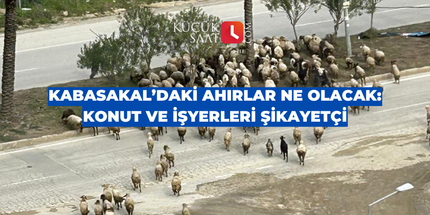 Kabasakal’daki ahırlar ne olacak: Konut ve işyerleri şikayetçi