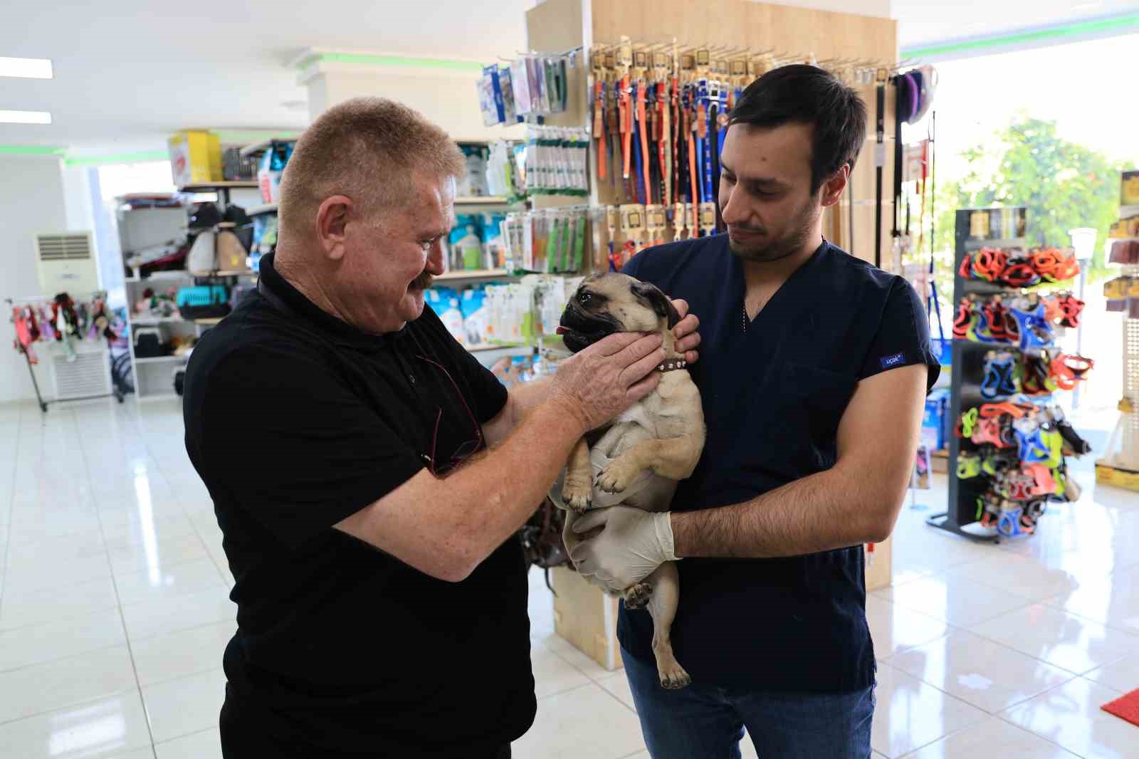 Uzmanından köpek besleyenlere uyarı: "Köpekleri ağızlık ile dolaştırın"