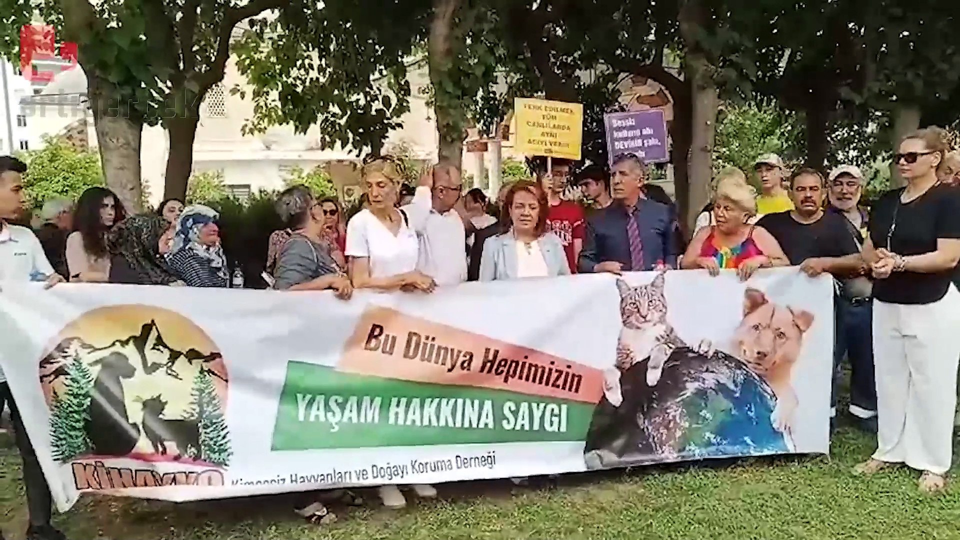 Adana'da kedilere bakan cami imamı sürgün edildi