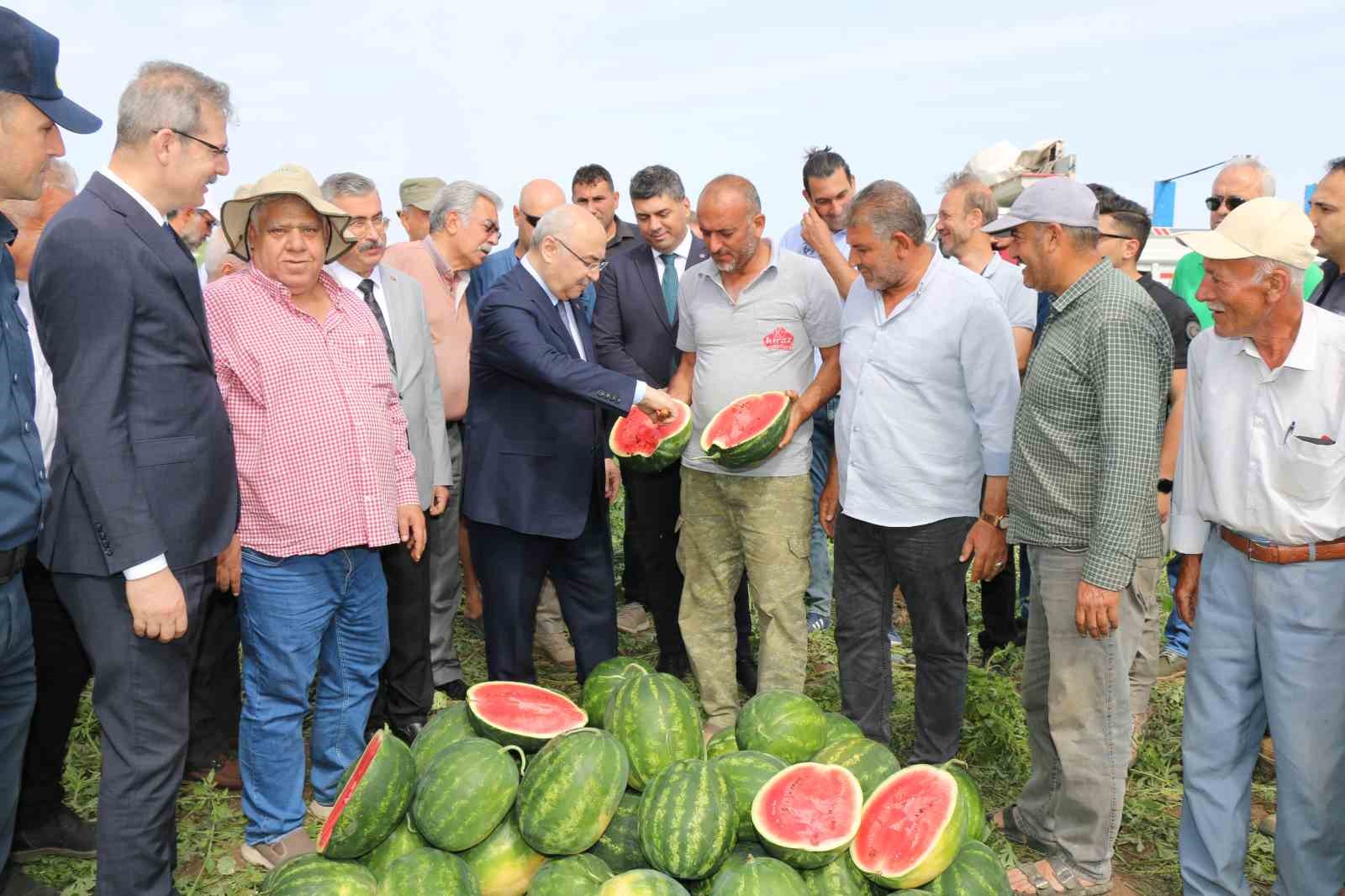 Vali Köşger karpuzu kesip göbeğini yedi, işçilerle birlikte kamyona yükleme yaptı