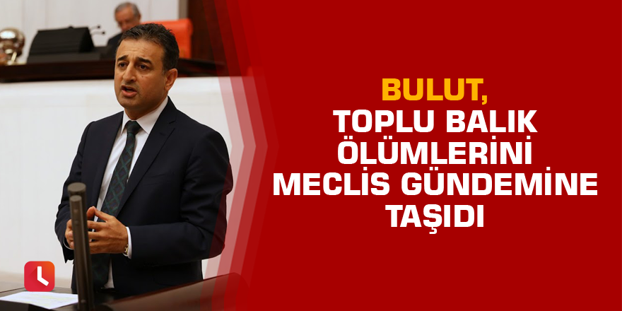 Bulut, Toplu Balık Ölümlerini Meclis Gündemine Taşıdı