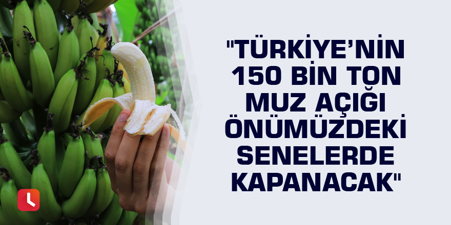 "Türkiye’nin 150 bin ton muz açığı önümüzdeki senelerde kapanacak"