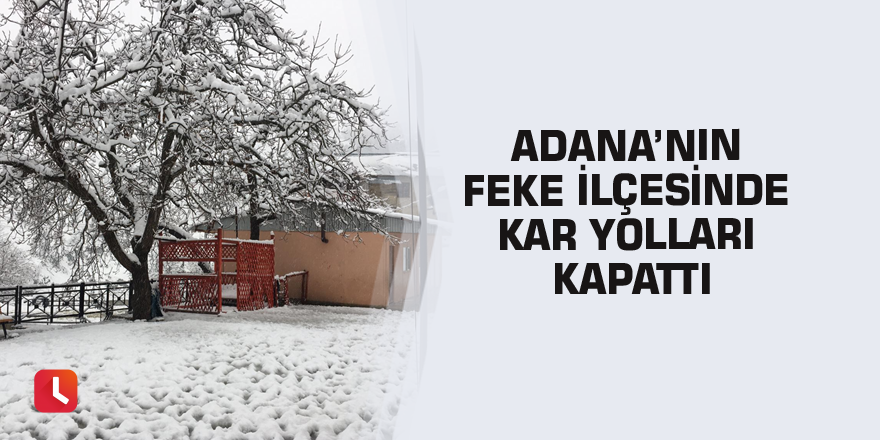 Adana’nın Feke ilçesinde kar yolları kapattı