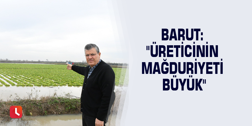 Barut: "Üreticinin mağduriyeti büyük"