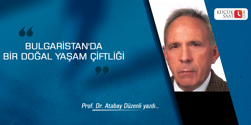 Bulgaristan'da bir doğal yaşam çiftliği