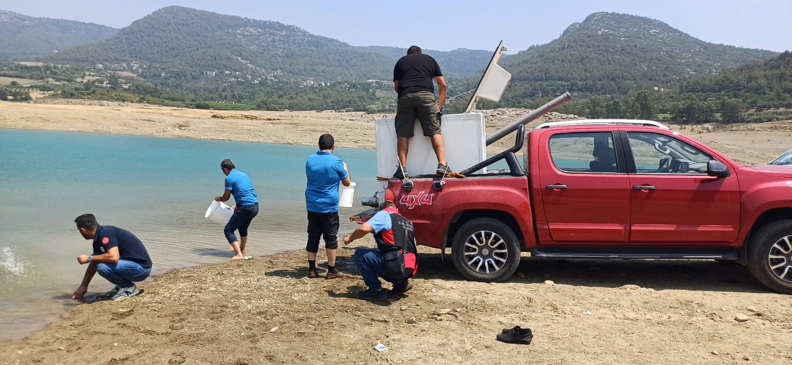 Kilgen Barajı'na 321 bin yavru sazan, baraja bırakıldı