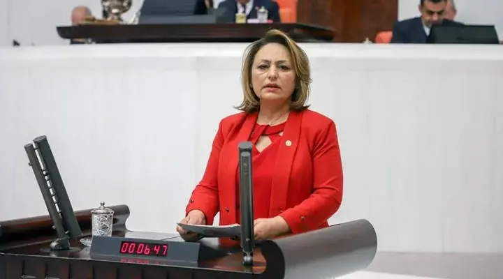 Müzeyyen Şevkin ''Çiftçi su bulamıyor, Yedigöze Sulama Projesi 16 yıldır tamamlanamıyor''