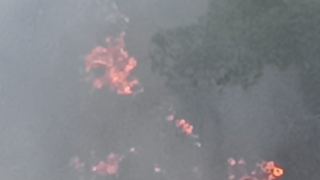 Kozan'da ormanlık alanda yangın çıktı