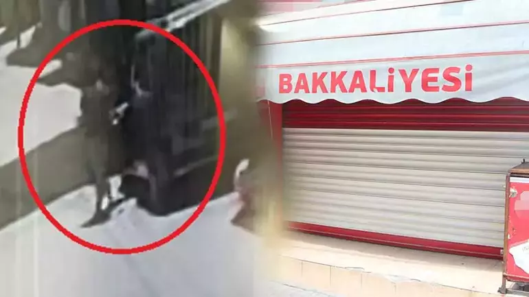 Mahalleli bakkala güvenip tüm birikimini kaptırdı 