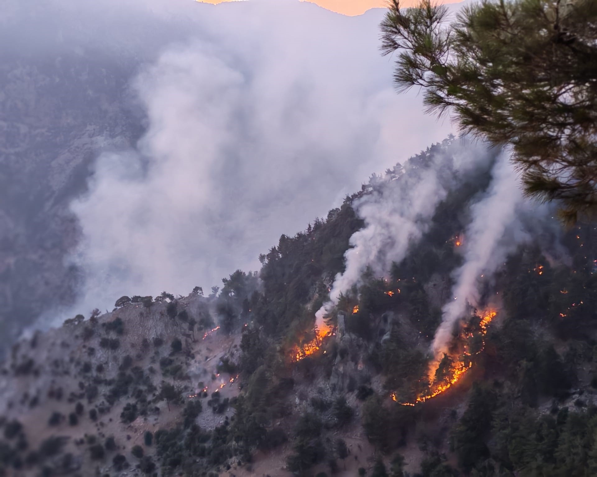 Kozan’daki orman yangını kısmen kontrol altında