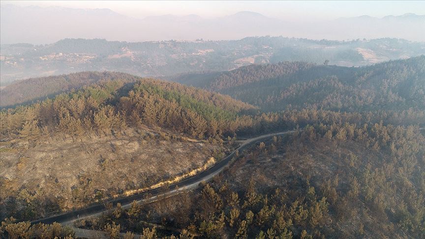 Kozan'daki orman yangını kontrol altına alındı