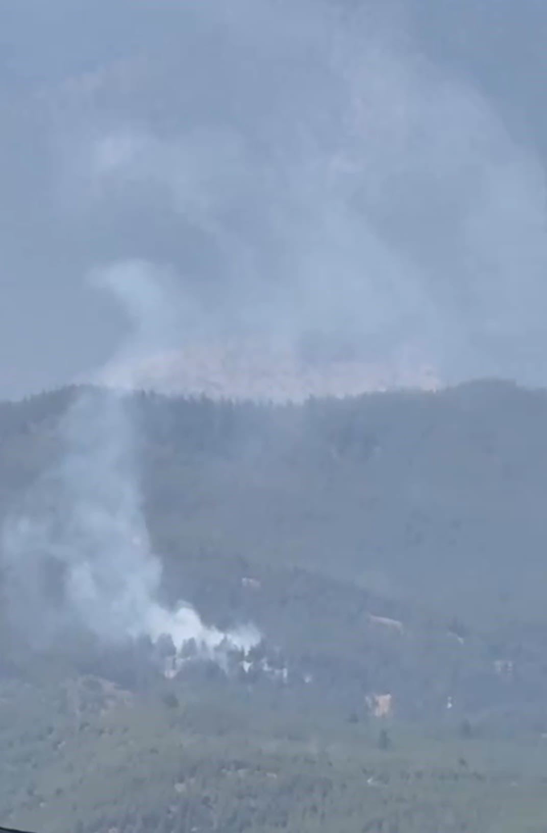 Adana Aladağ'da orman yangını çıktı