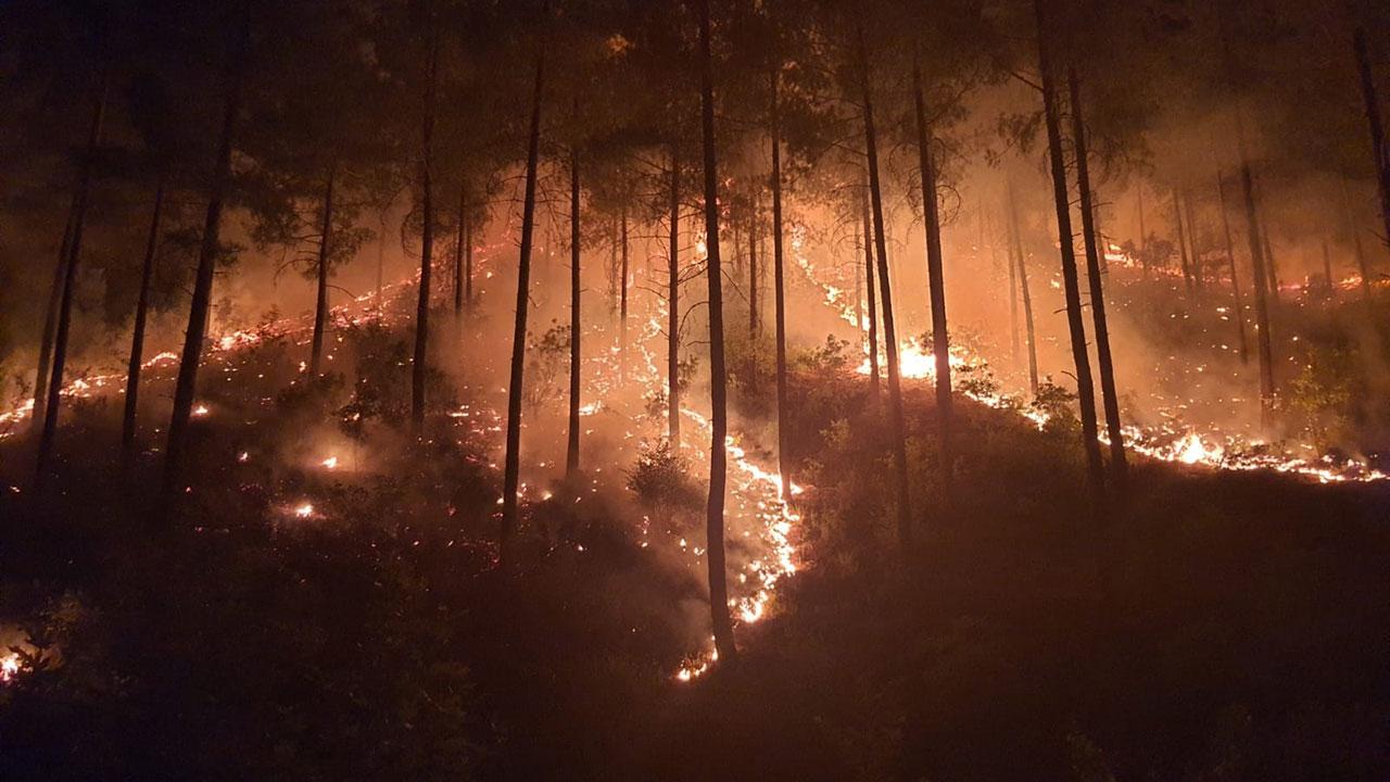 Aladağ yangını söndürüldü