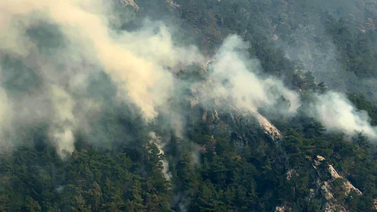 Adana’daki orman yangınlarında 3 kişi tutuklandı
