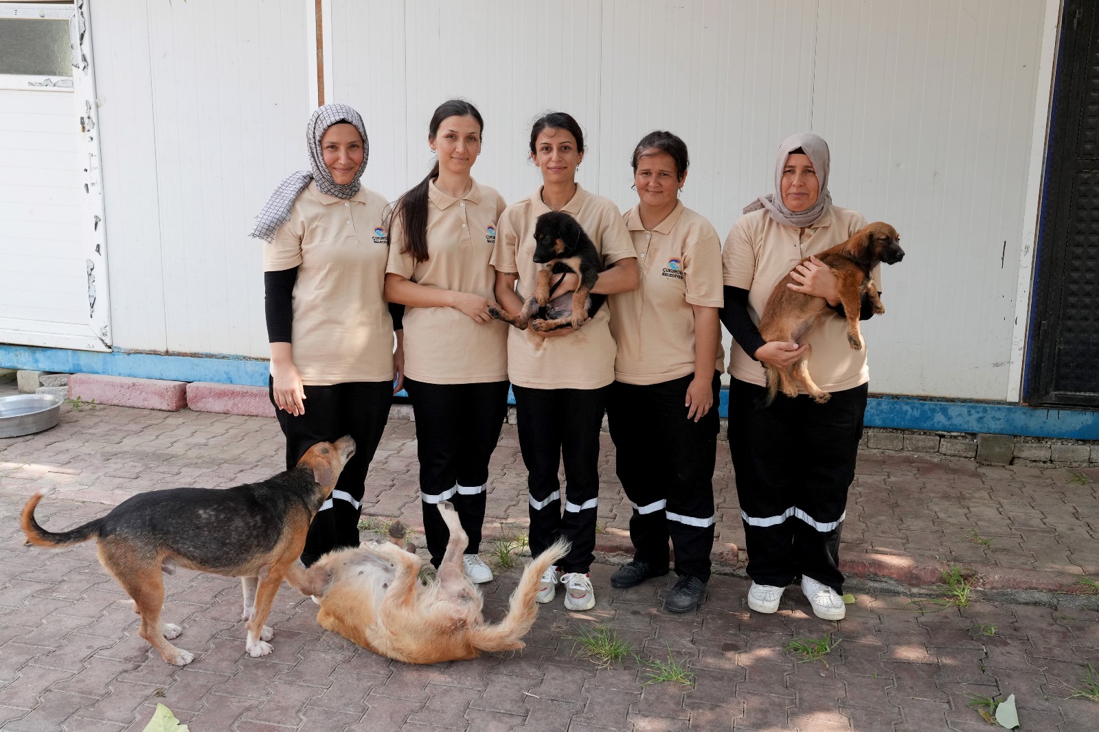 Çukurova Beledıyesi'nden can dostlara şefkat eli: "Barınak melekleri" görev başında