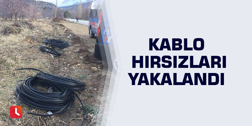 Kablo hırsızları yakalandı