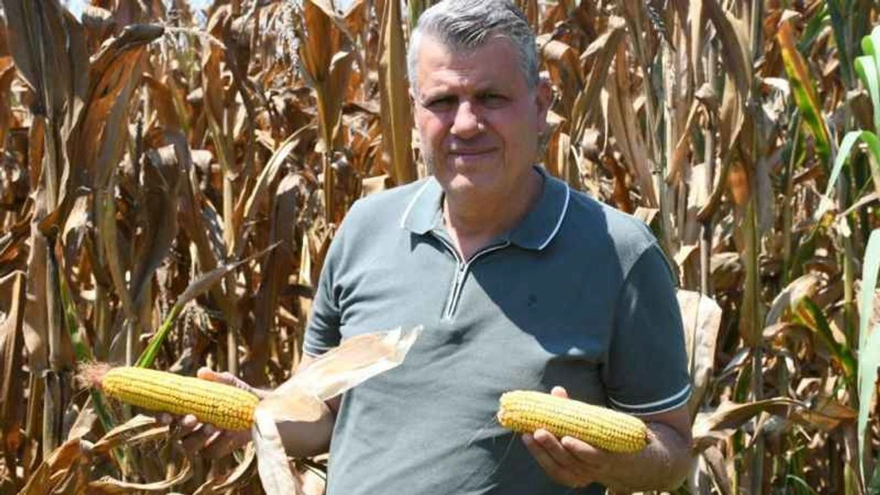 "Çiftçiyi sıcak değil dert yakıyor"