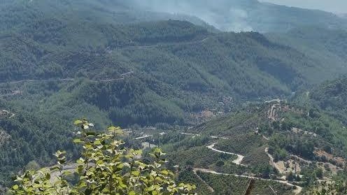 Adana Orman Bölge Müdürlüğü’nden tüm Adanalılara kritik uyarı geldi.