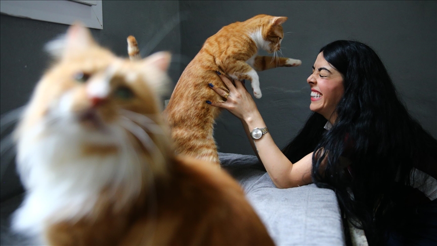 Adanalı hayvansever, evinin damını sahipsiz kediler için yuvaya dönüştürdü