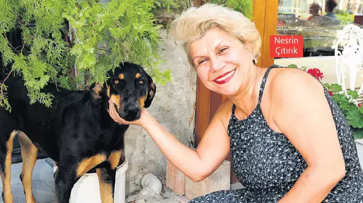 HayKonfed Başkanı Çıtırık: “Sorumluluk hepimizin”