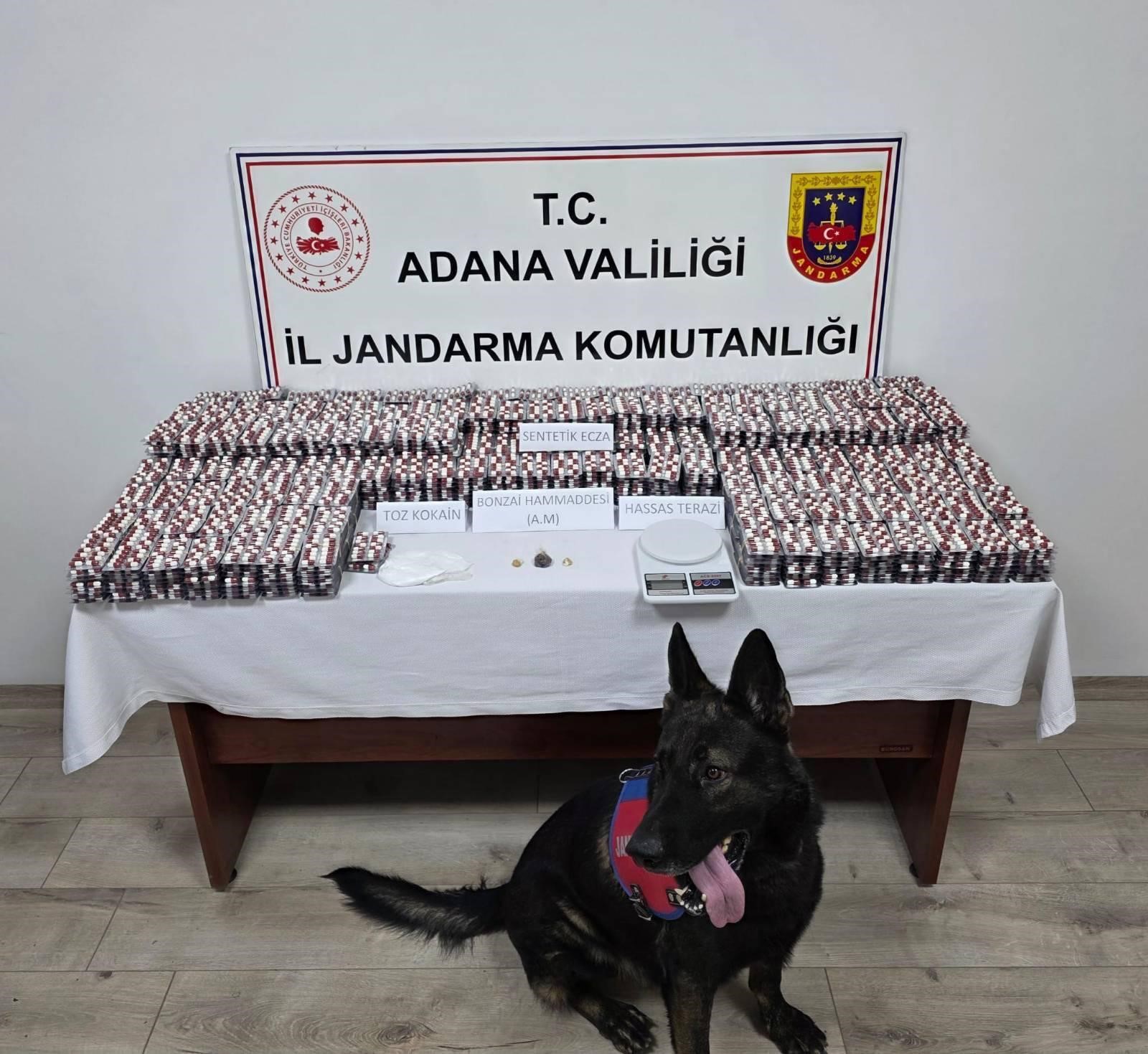 Adana’da 19 bin 167 adet uyuşturucu hap ele geçirildi: 1 kişi tutuklandı