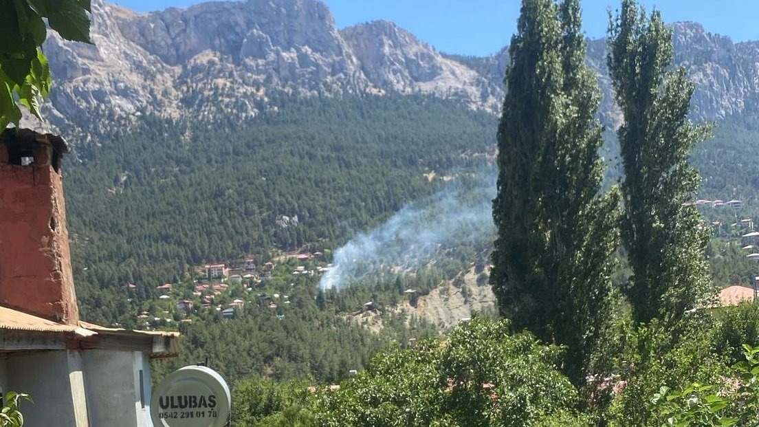 Pozantı'da çıkan orman yangını kontrol altına alındı