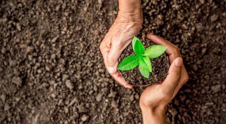 Gündoğdu’dan fidan kampanyası