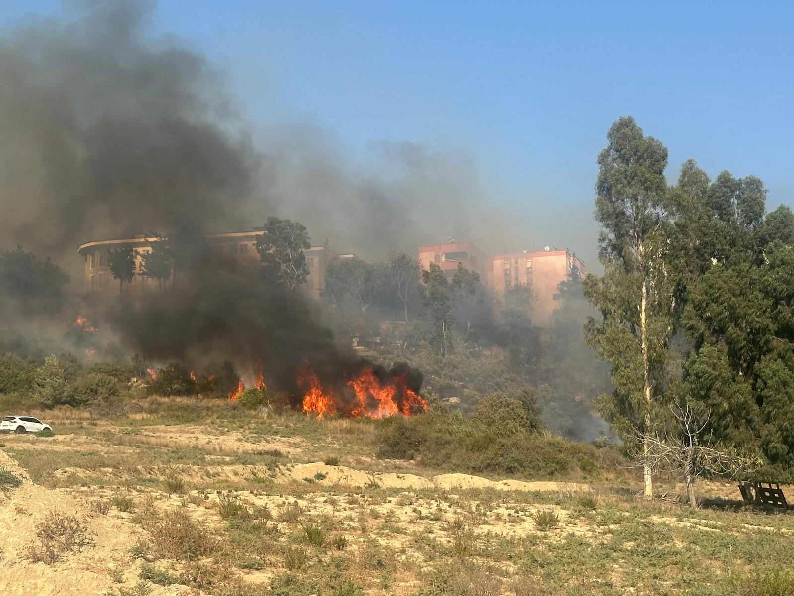 Adana'da yerleşim yeri çevresinde ağaçlık alanda çıkan yangın korkuttu