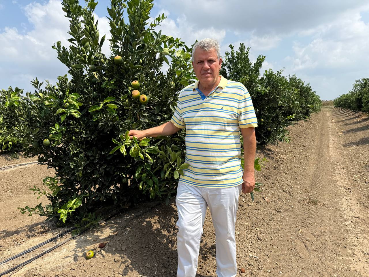 Ayhan Barut; ''Tarımsal üretimi ve çiftçileri sıcak yaktı"