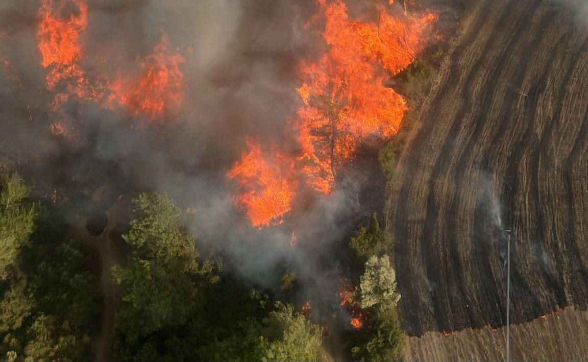 İmamoğlu ilçesinde ormanlık alanda yangın çıktı