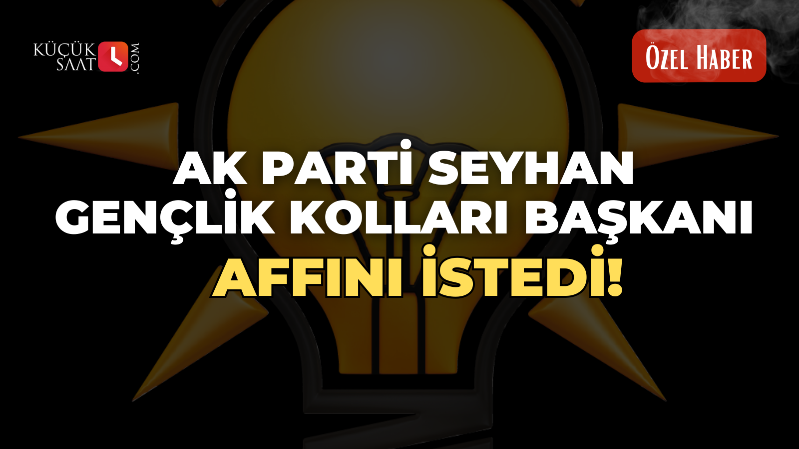 Ak Parti Seyhan Gençlik Kolları Başkanı affını istedi!