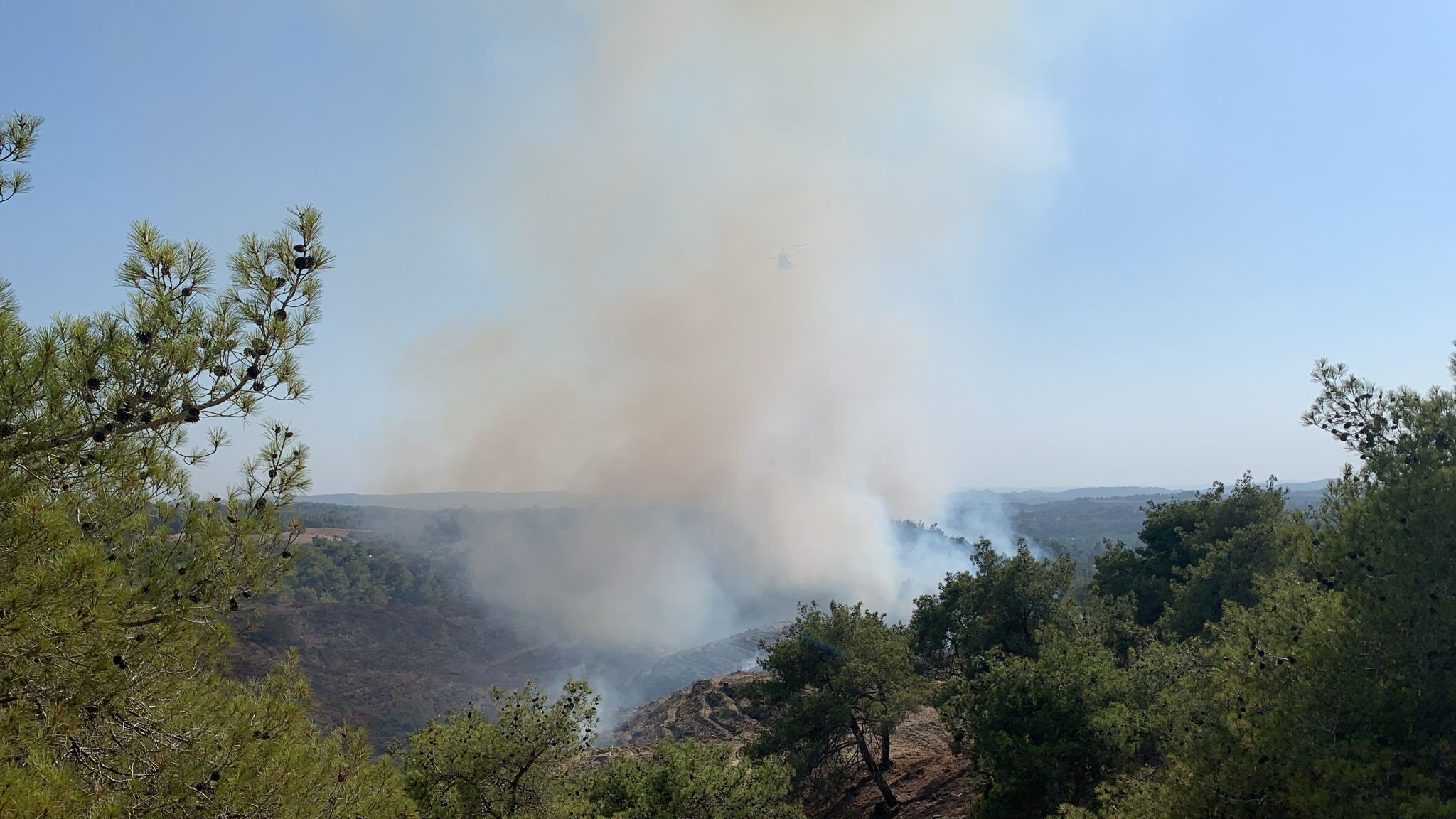 Adana’da orman yangını 