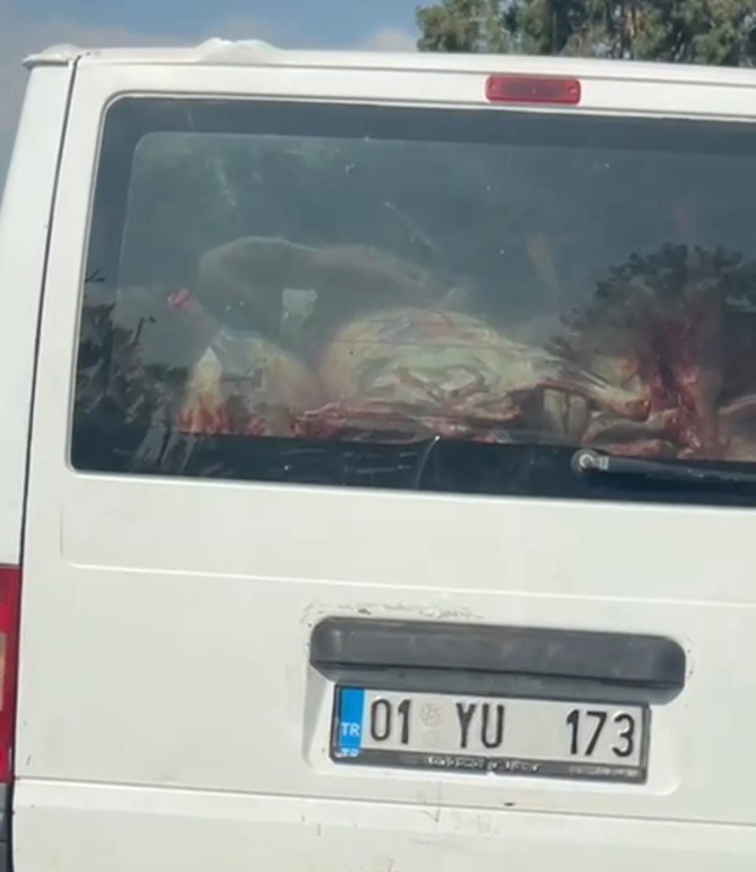 Adana'da etler hijyen kurallarına aykırı taşındı