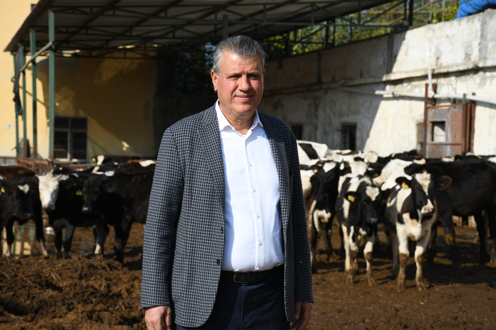 "Şap salgınında yeni tip, krizi büyütüyor"