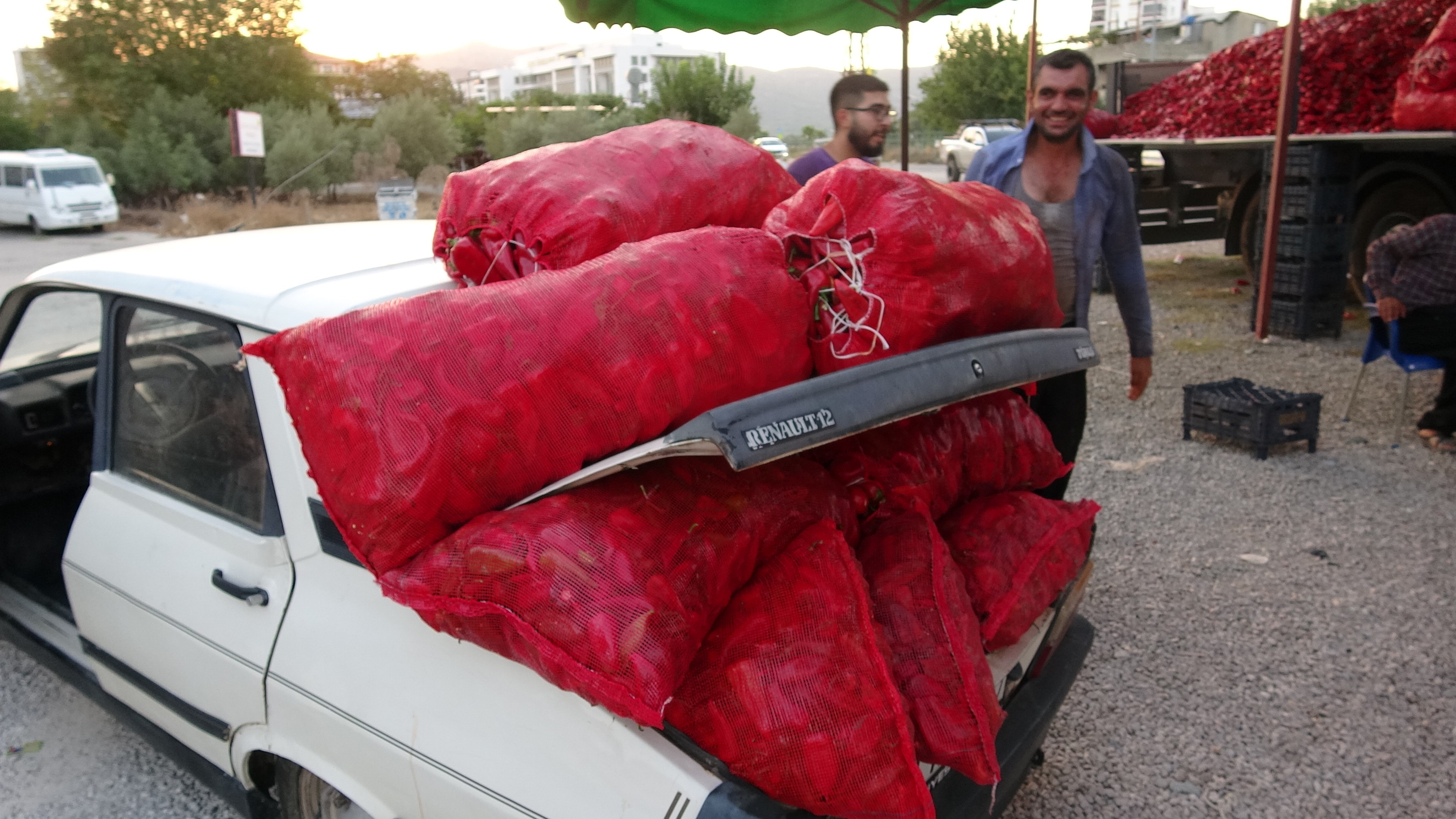 Çiftçilerin zorlu biber mesaisi