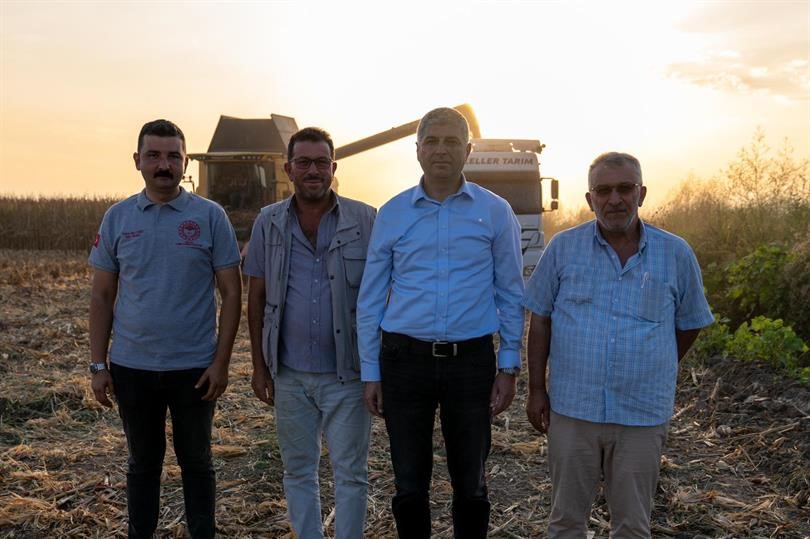 Adana'da mısırda 1 milyon 135 bin ton rekolte bekleniyor