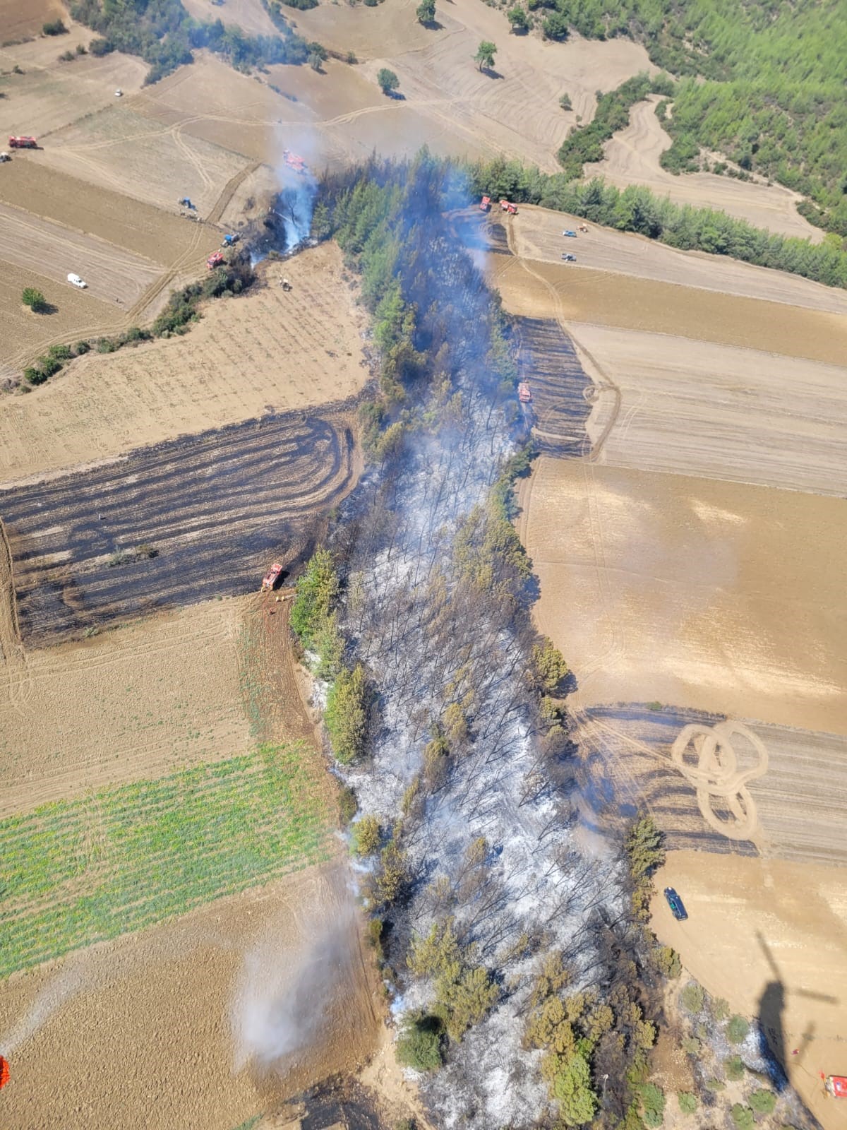 Adana'da çıkan orman yangını kontrol altına alındı