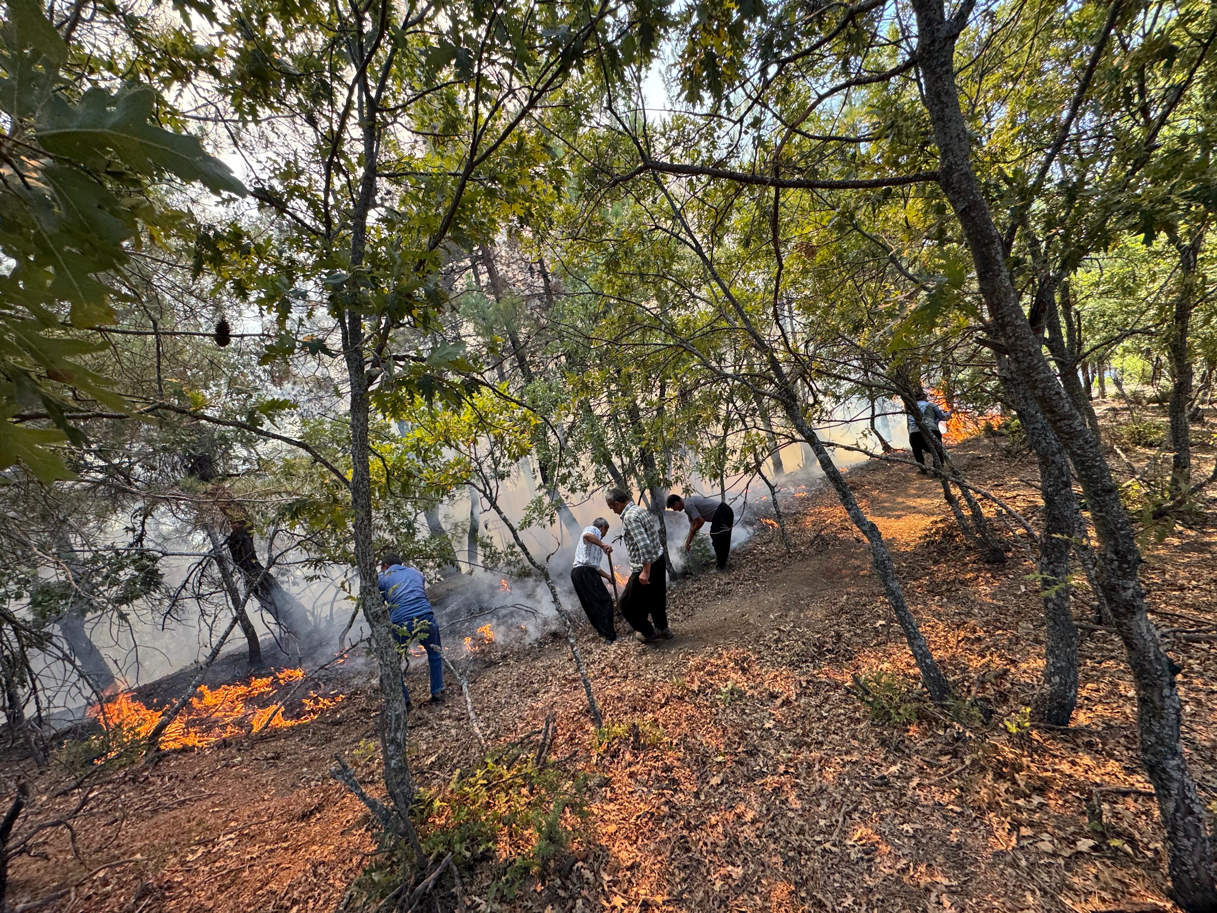 Adana Feke’de orman yangını ekipler havadan ve karadan müdahale ediyor