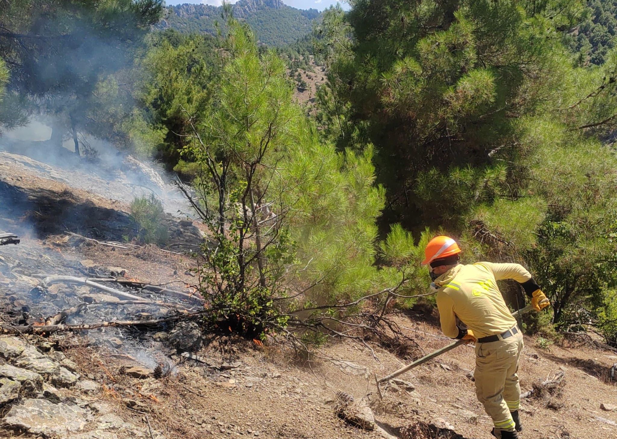 Adana Feke'deki orman yangını kontrol altına alındı