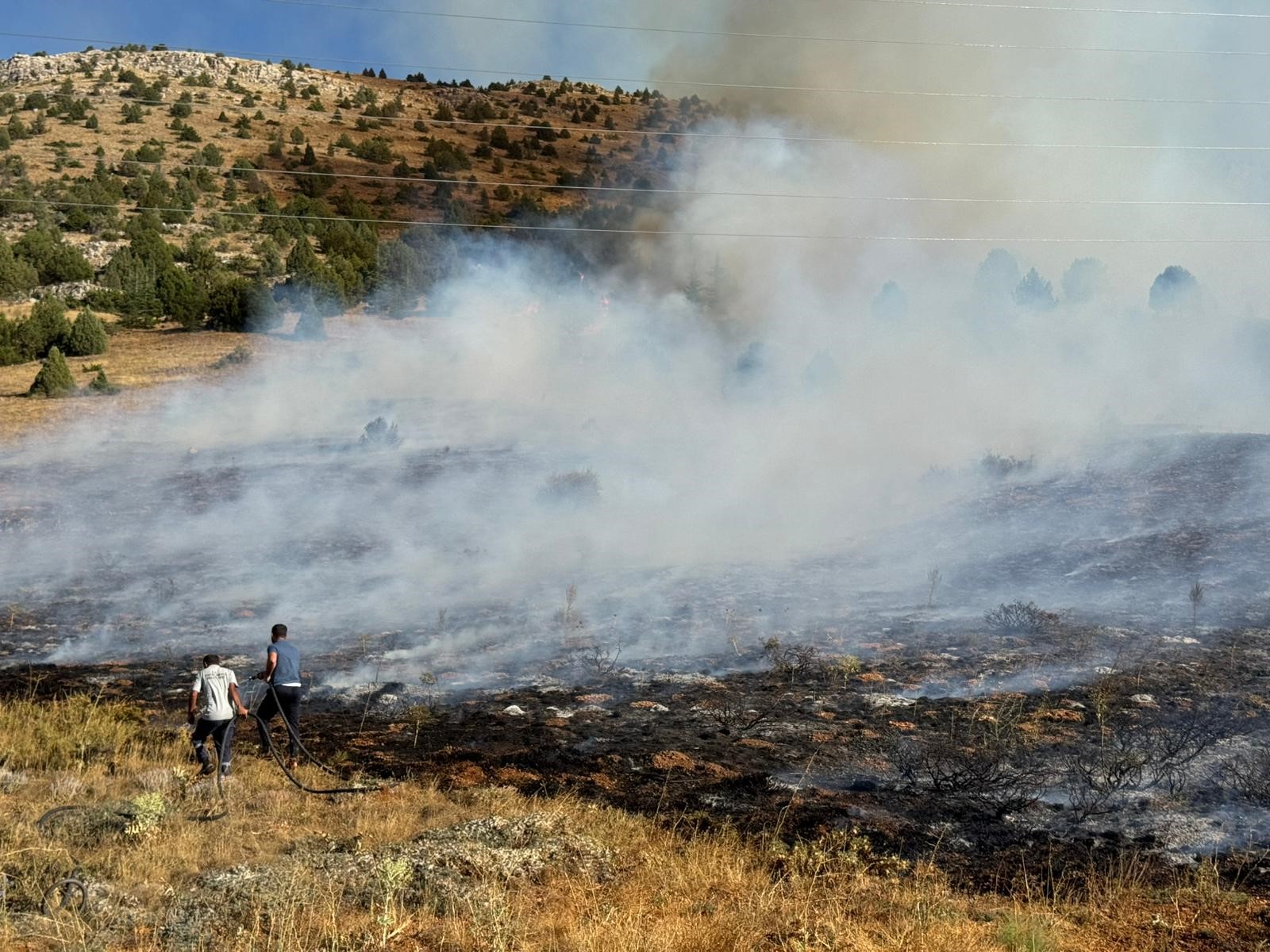 Adana Tufanbeyli'de orman yangını