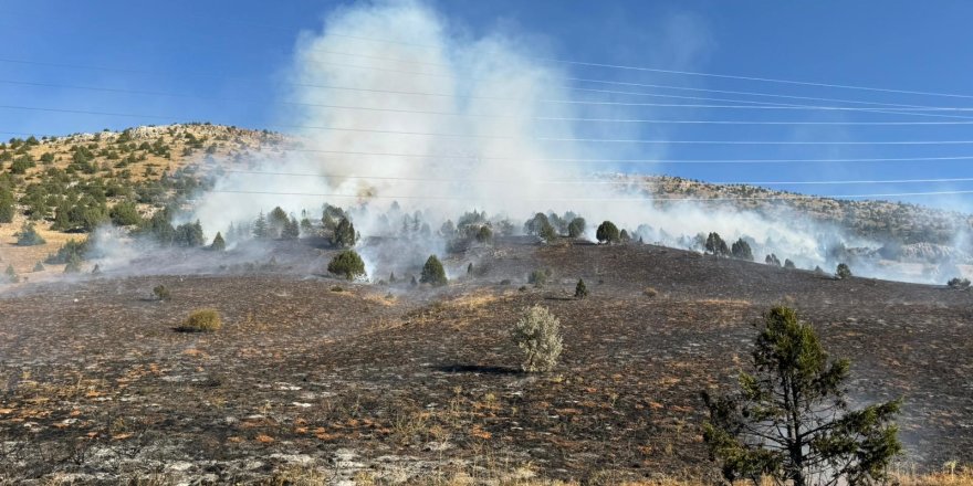 Adana'daki orman yangını kontrol altına alındı   
