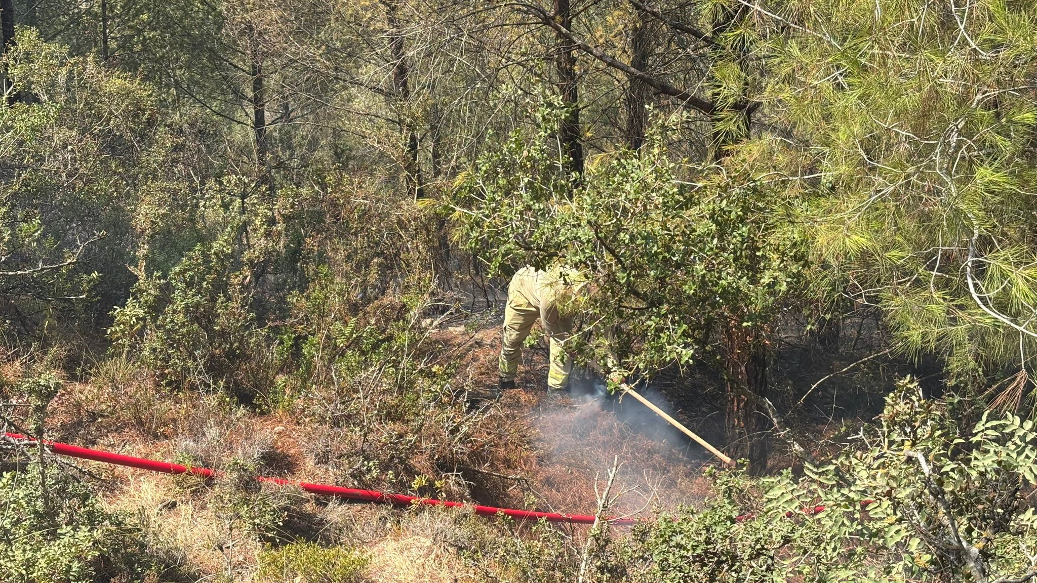 Adana'da orman yangını kontrol altına alındı