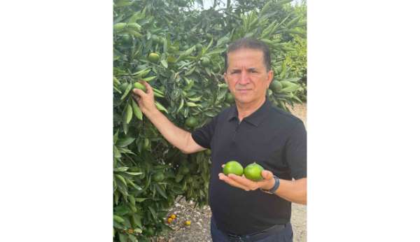 Doğan "Turunçgil kesim ve ihraç tarihlerinde sahadaki gerçek üretim şartları dikkate alınmalıdır’’