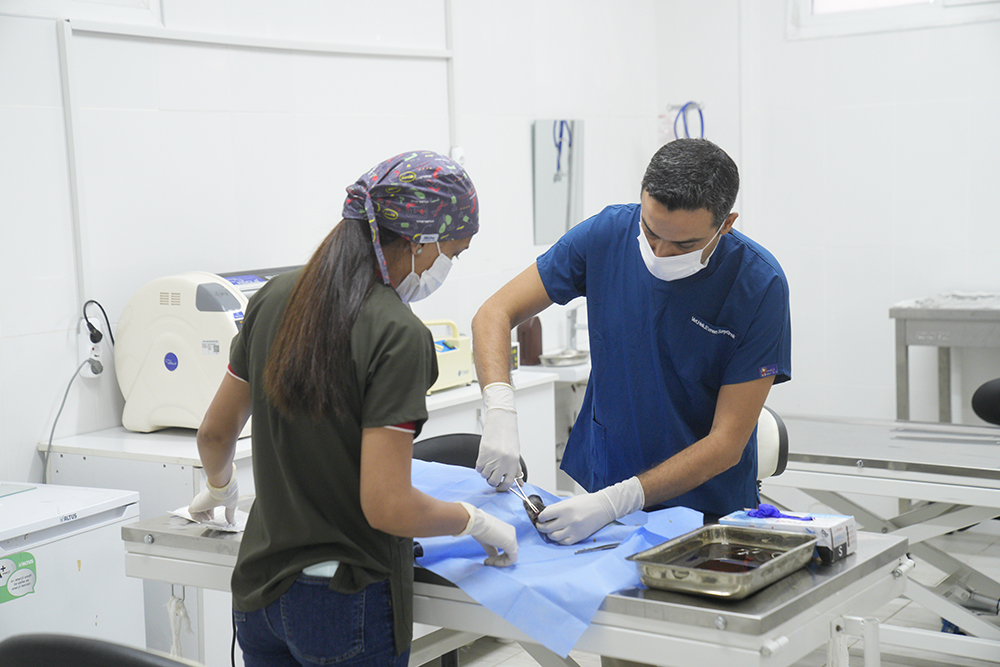 Seyhan Belediyesi’nden Sokak Hayvanları için Kısırlaştırma Seferberliği: Hedef Yıl Sonuna Kadar 4 Bin Can