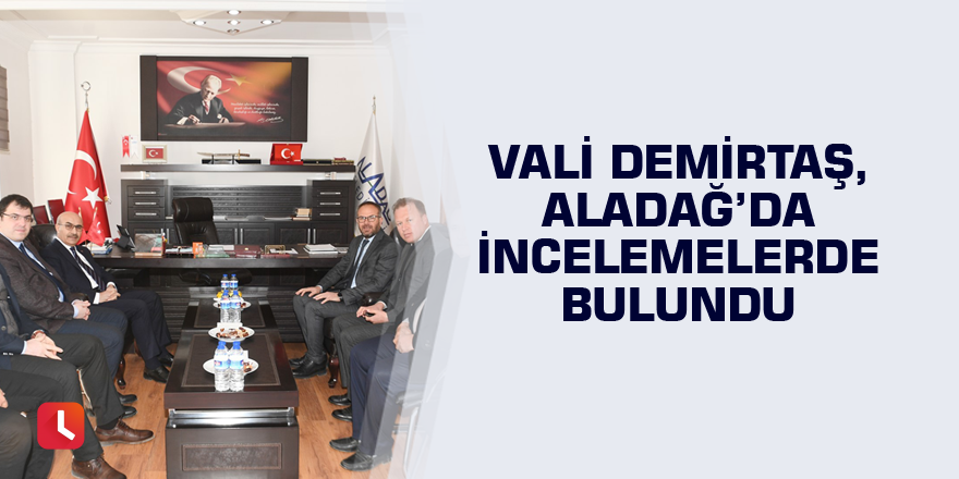 Vali Demirtaş, Aladağ’da incelemelerde bulundu