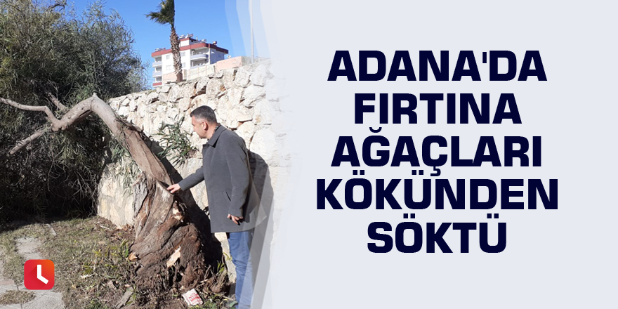 Adana'da fırtına ağaçları kökünden söktü